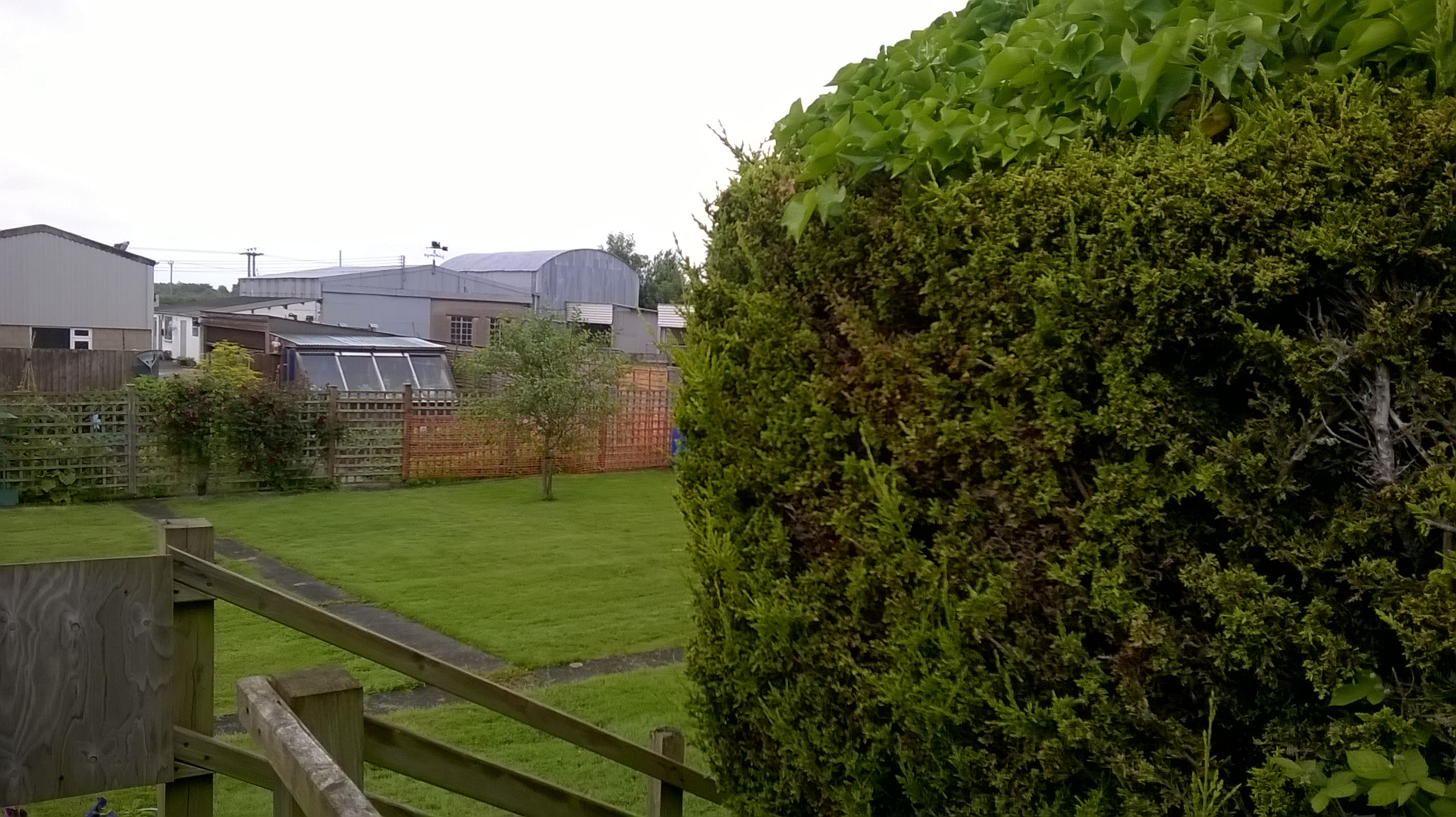 WP_20160617_10_19_54_Pro.jpg
