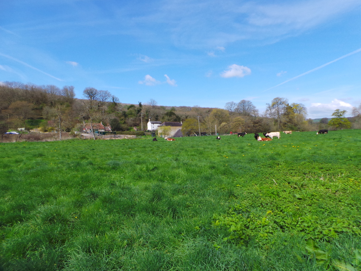 dun_20160424_111645.JPG