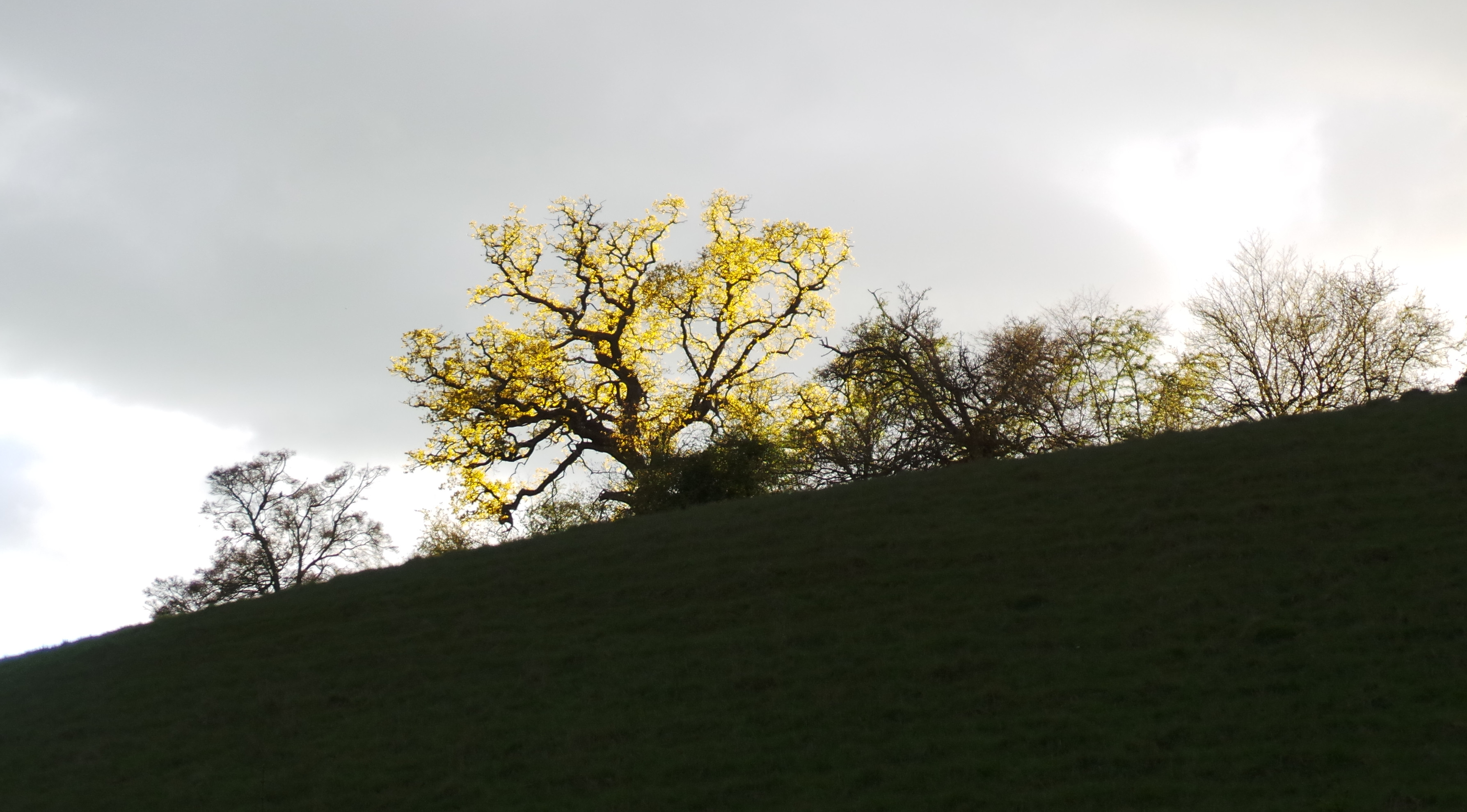 dun_20160425_190031.JPG