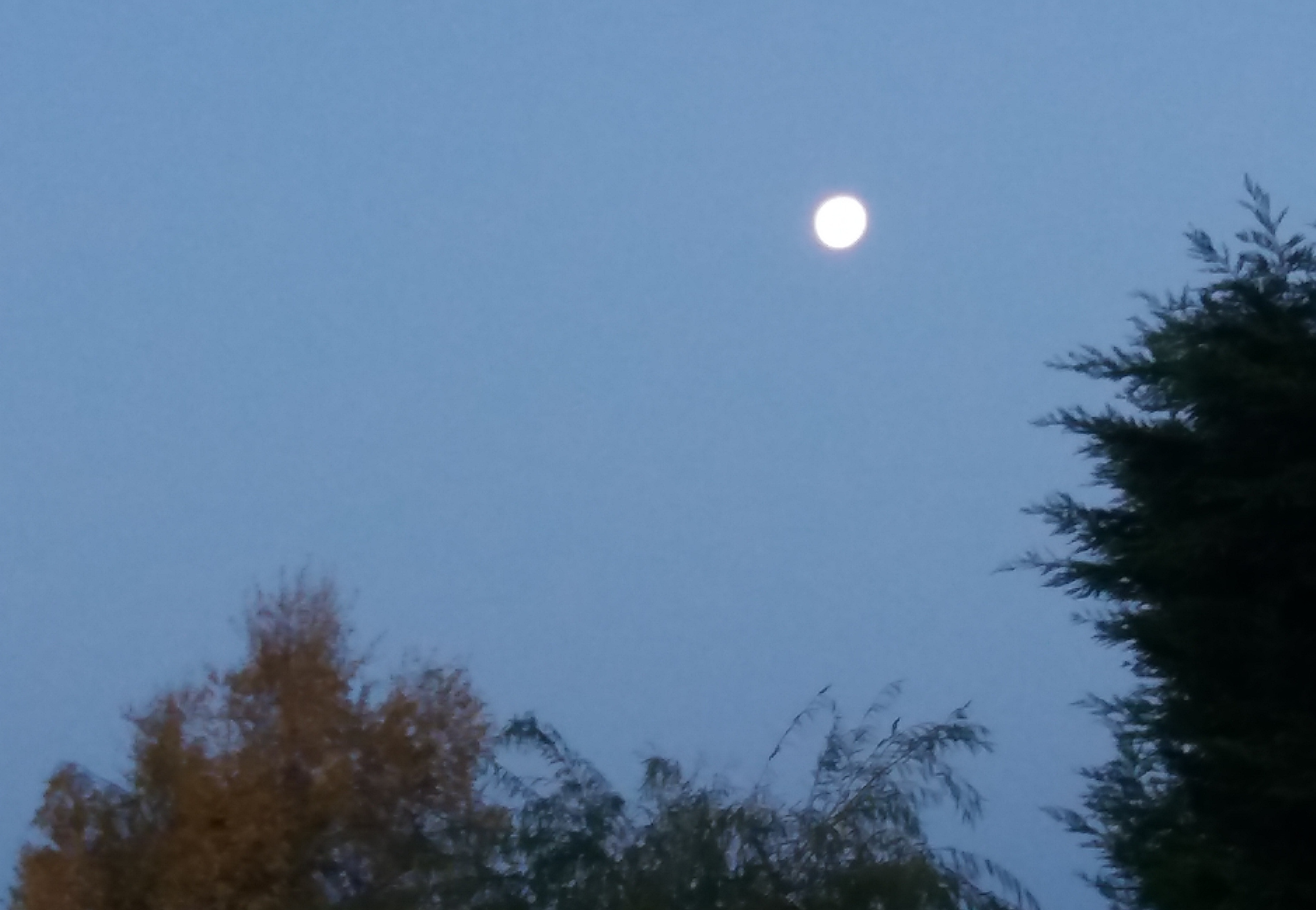 tring_071354.jpg