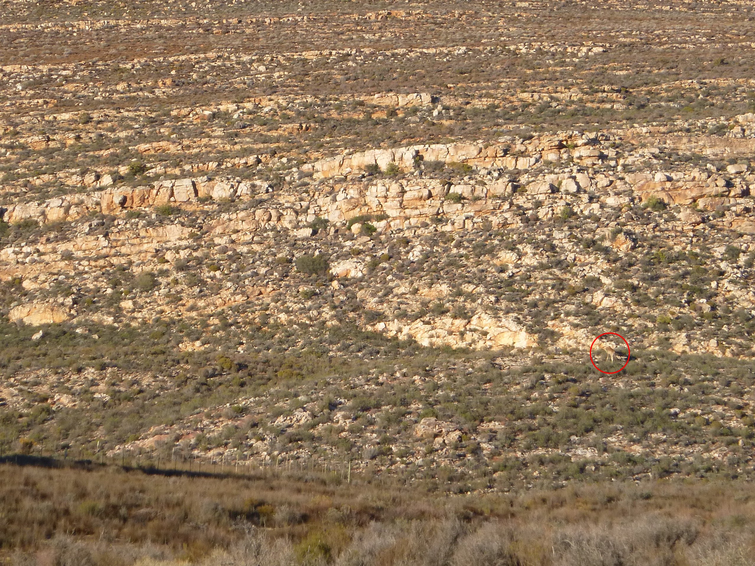 1030420e.JPG