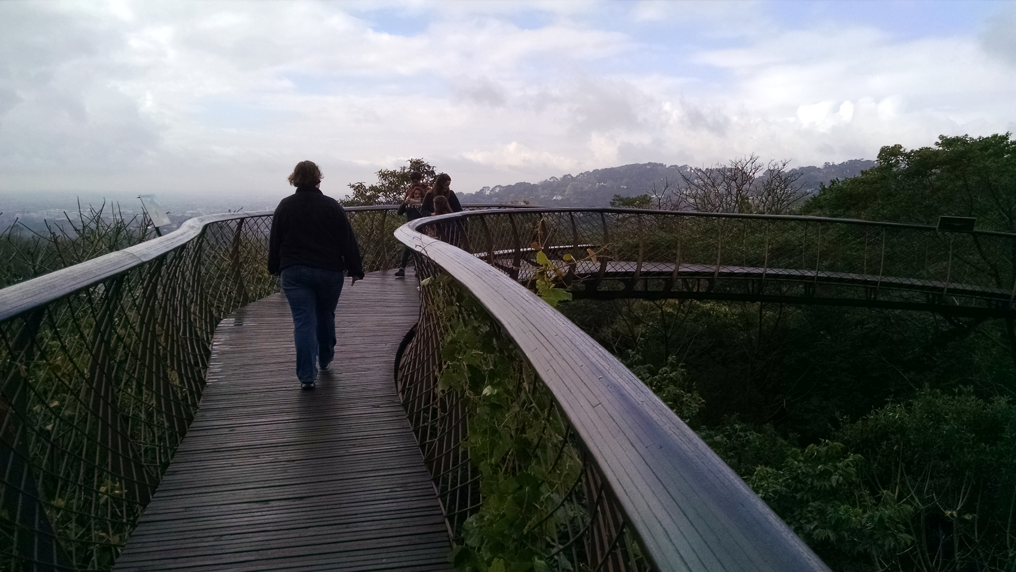 20170720_120247501.jpg