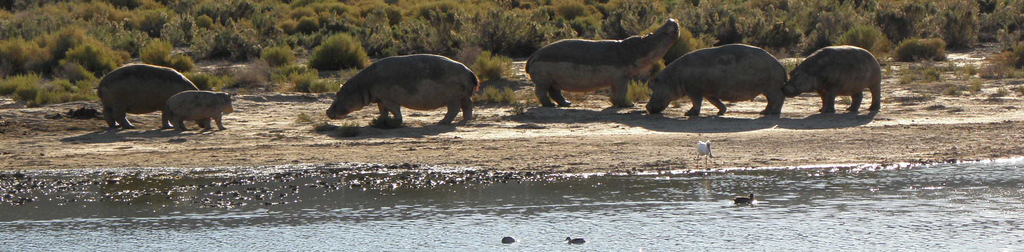 7210148.JPG