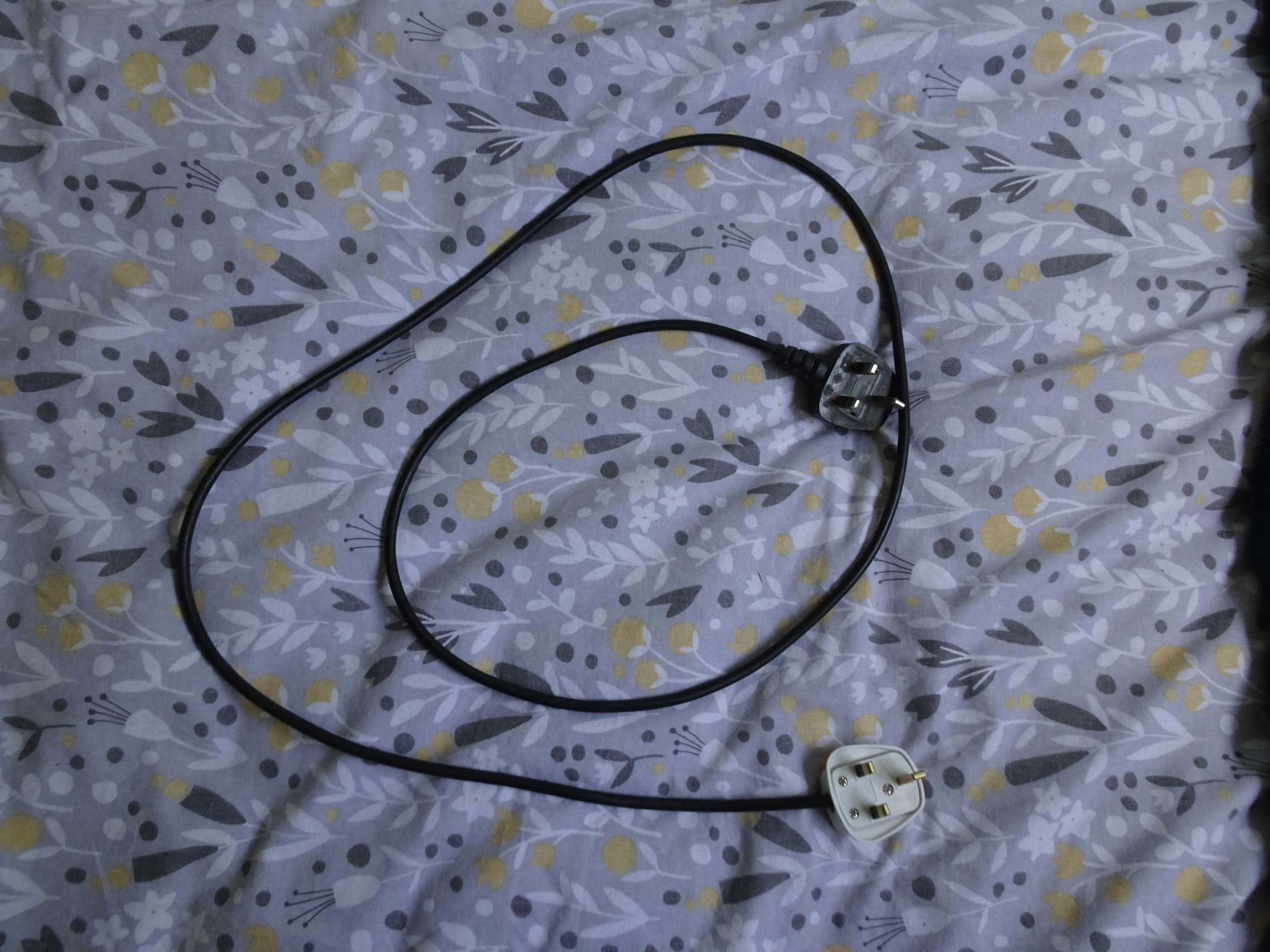 00869.JPG