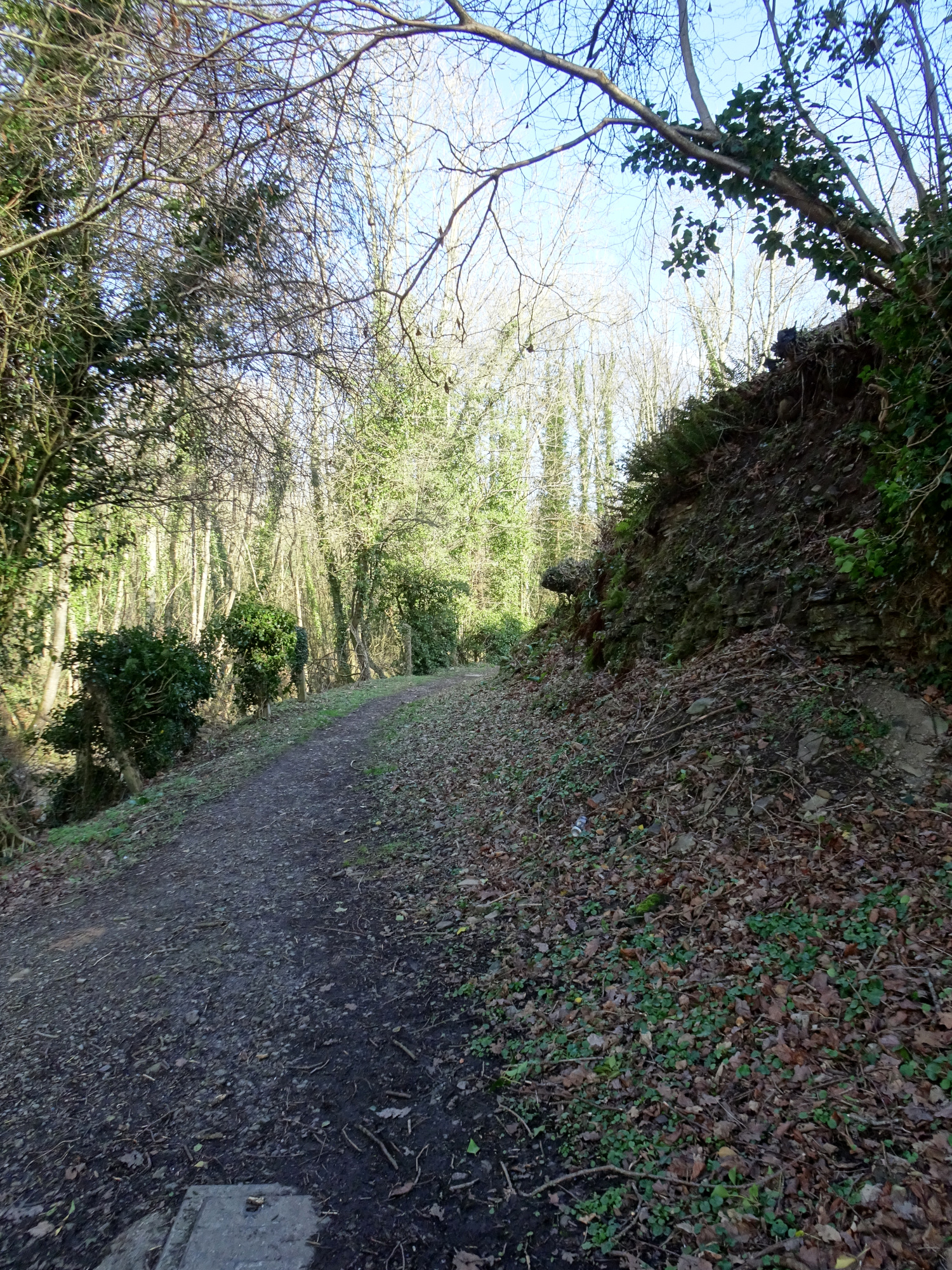 01799.JPG