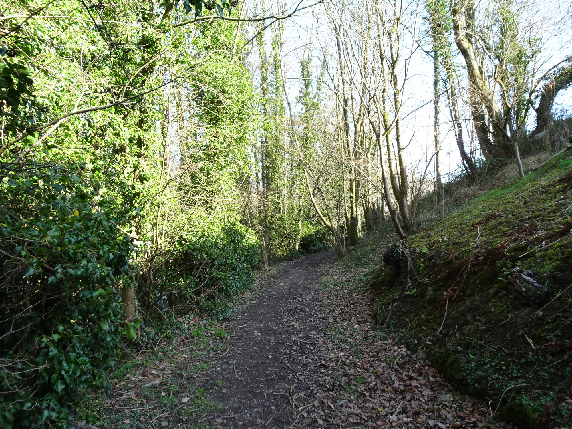 01800.JPG