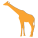 ♉ 