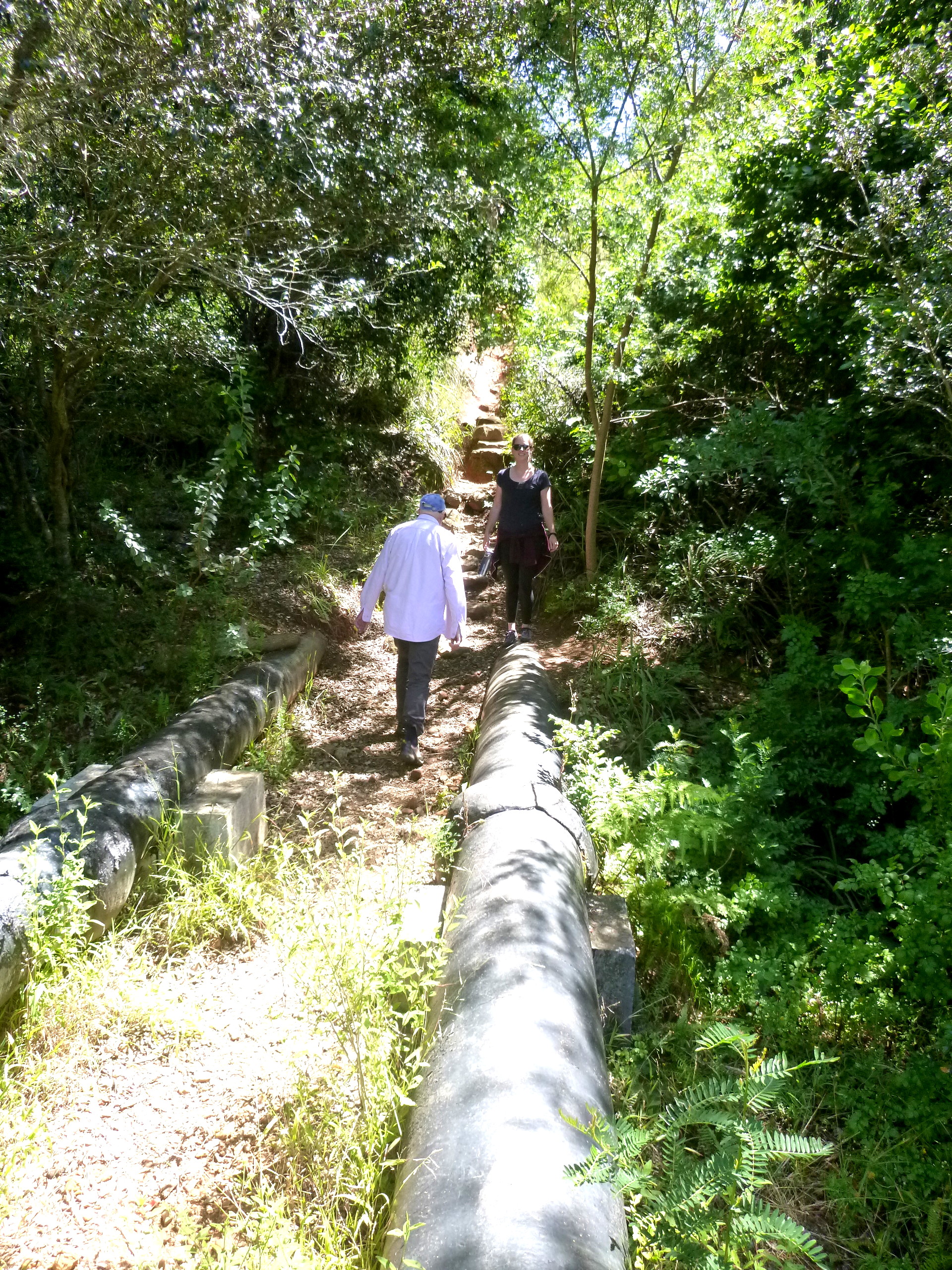 P106029.JPG
