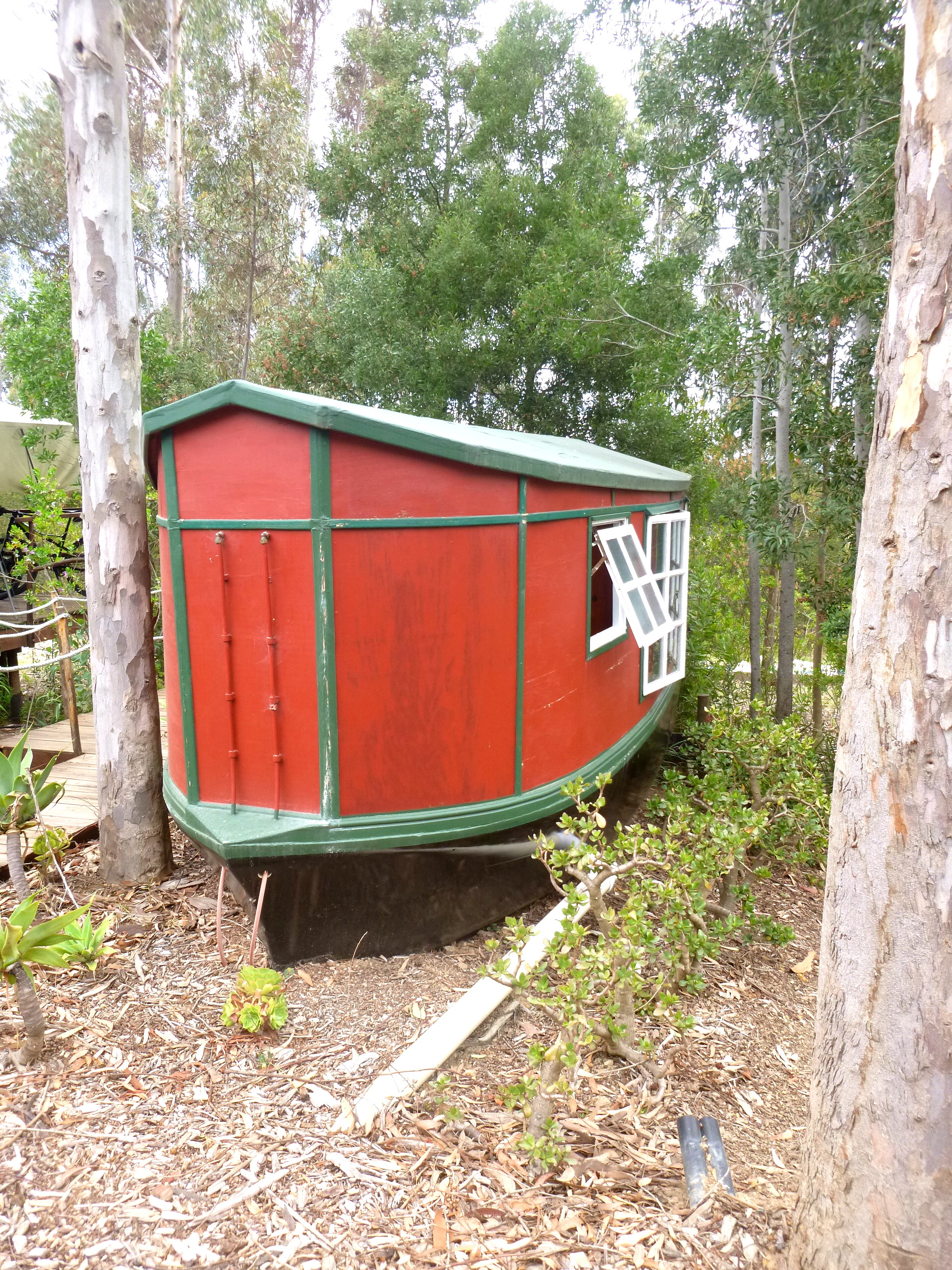 P1060334.JPG